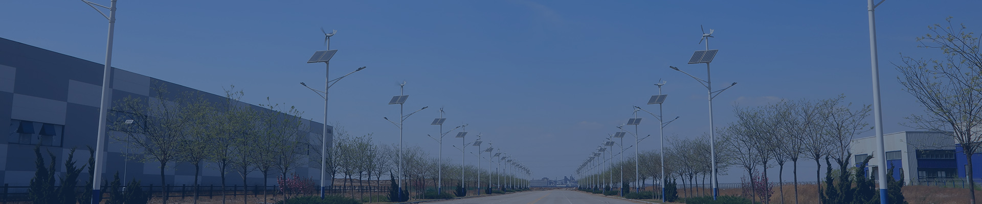 banner-inside