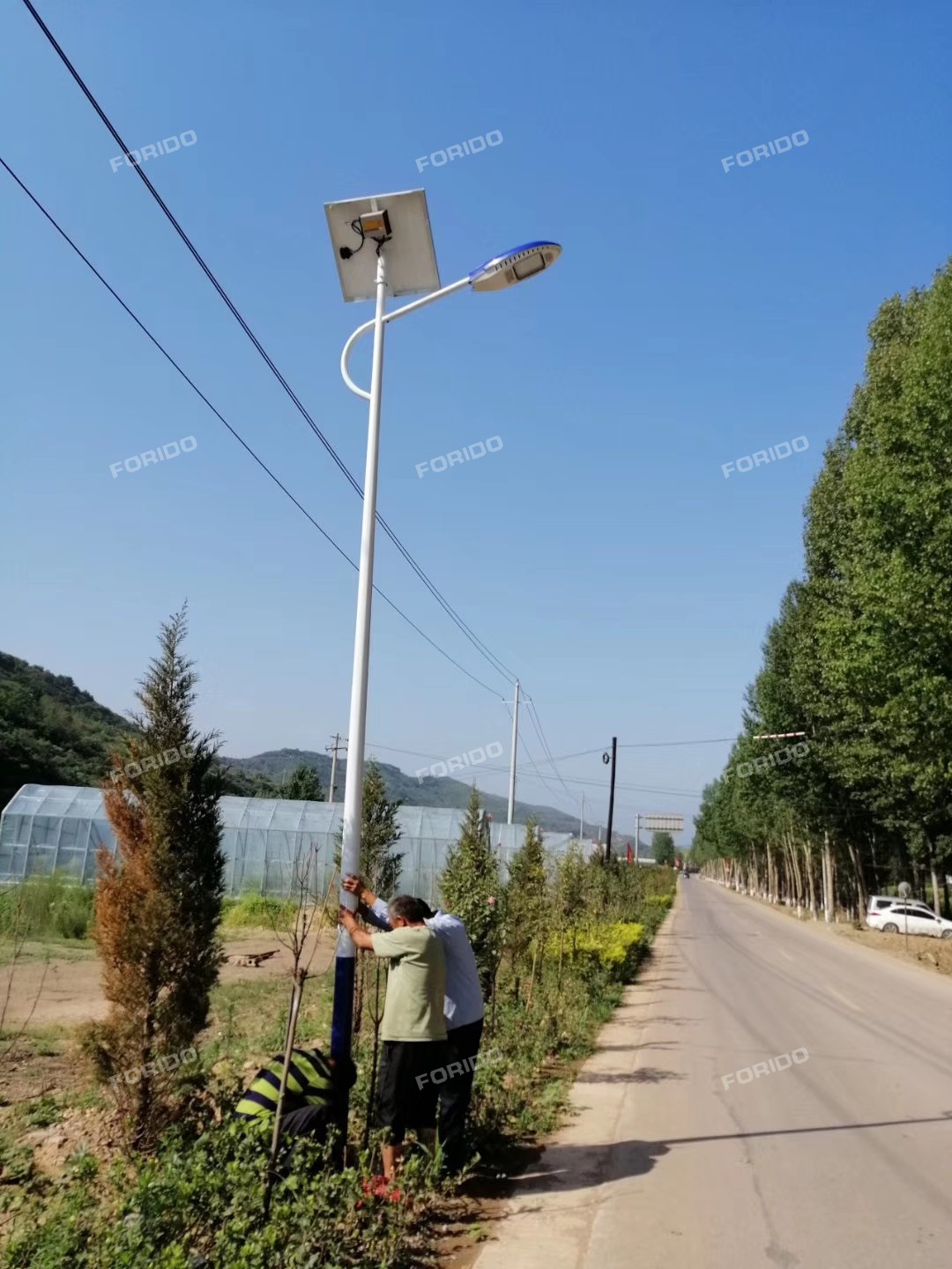 mmexport1564493079802