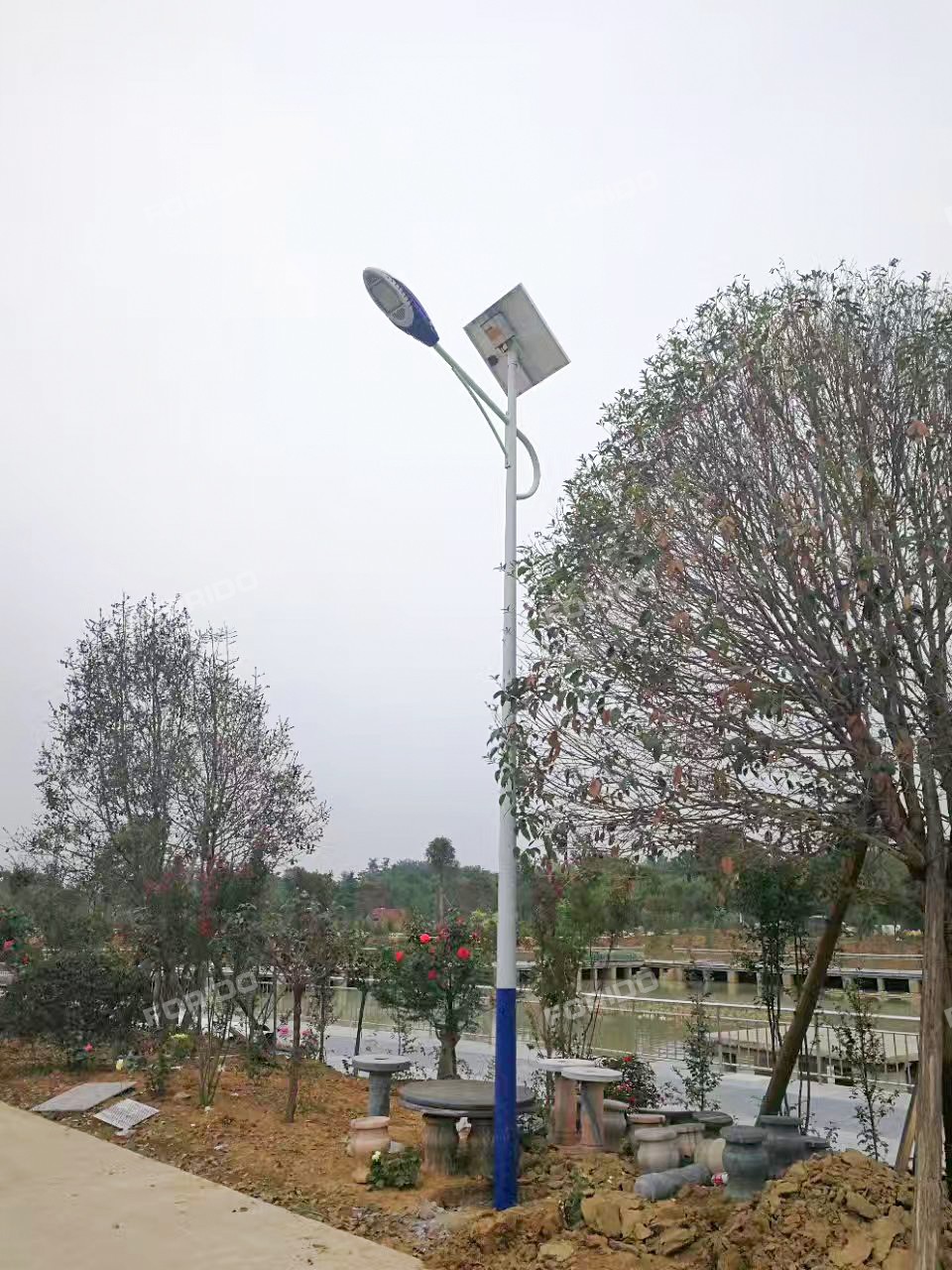 mmexport1498966085030