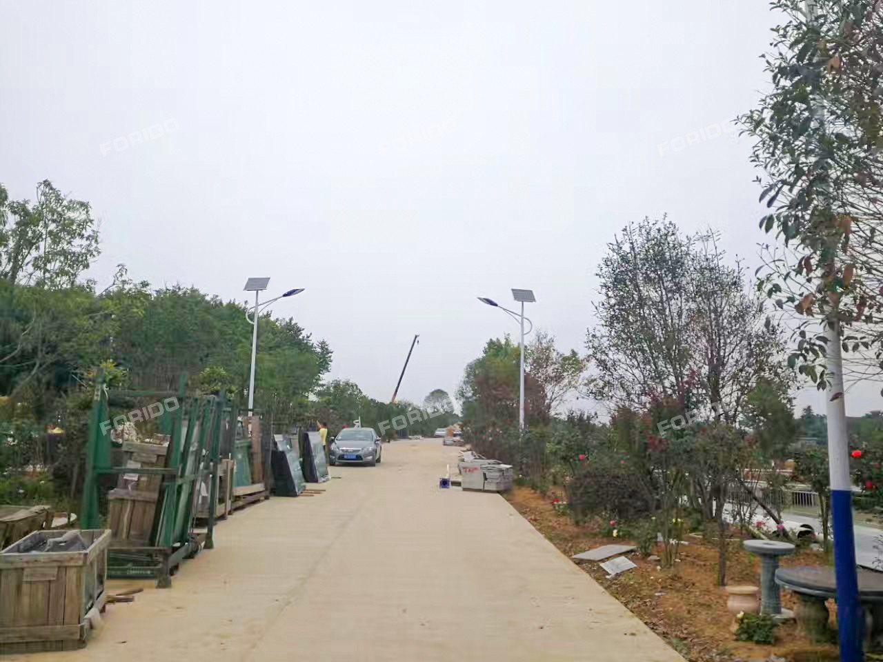 mmexport1498966087742