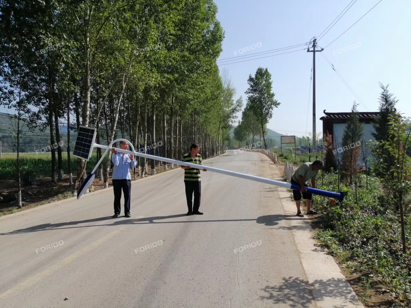 mmexport1564493084976