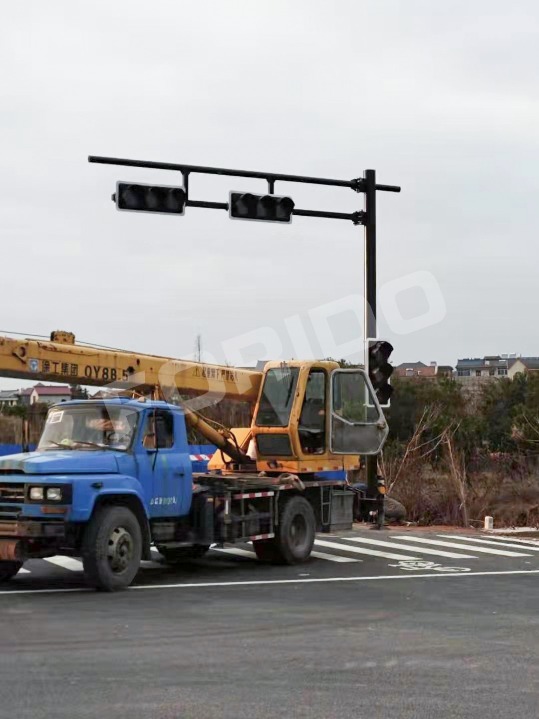 mmexport1578821799384