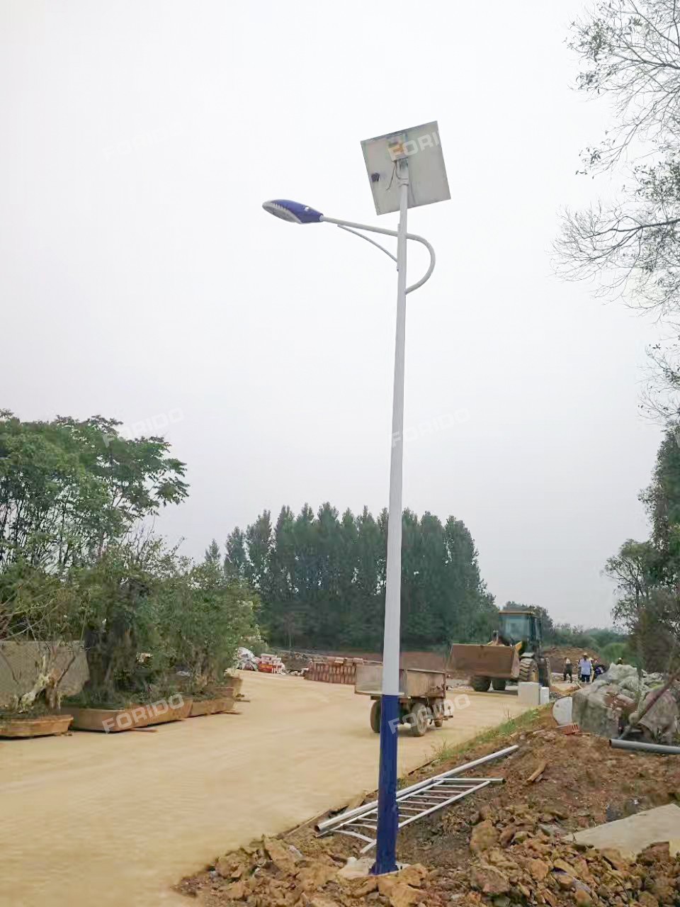 mmexport1498966100764