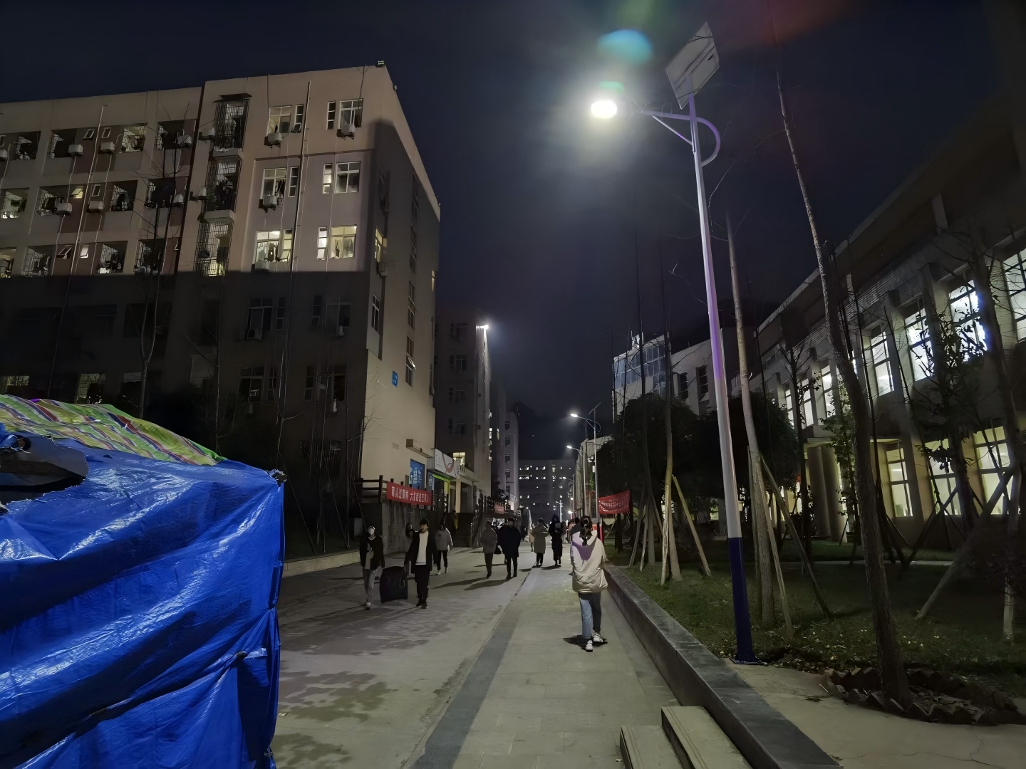 mmexport1610854078509(1)