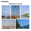 Split-Type Solar Street Light (Dual Arm)