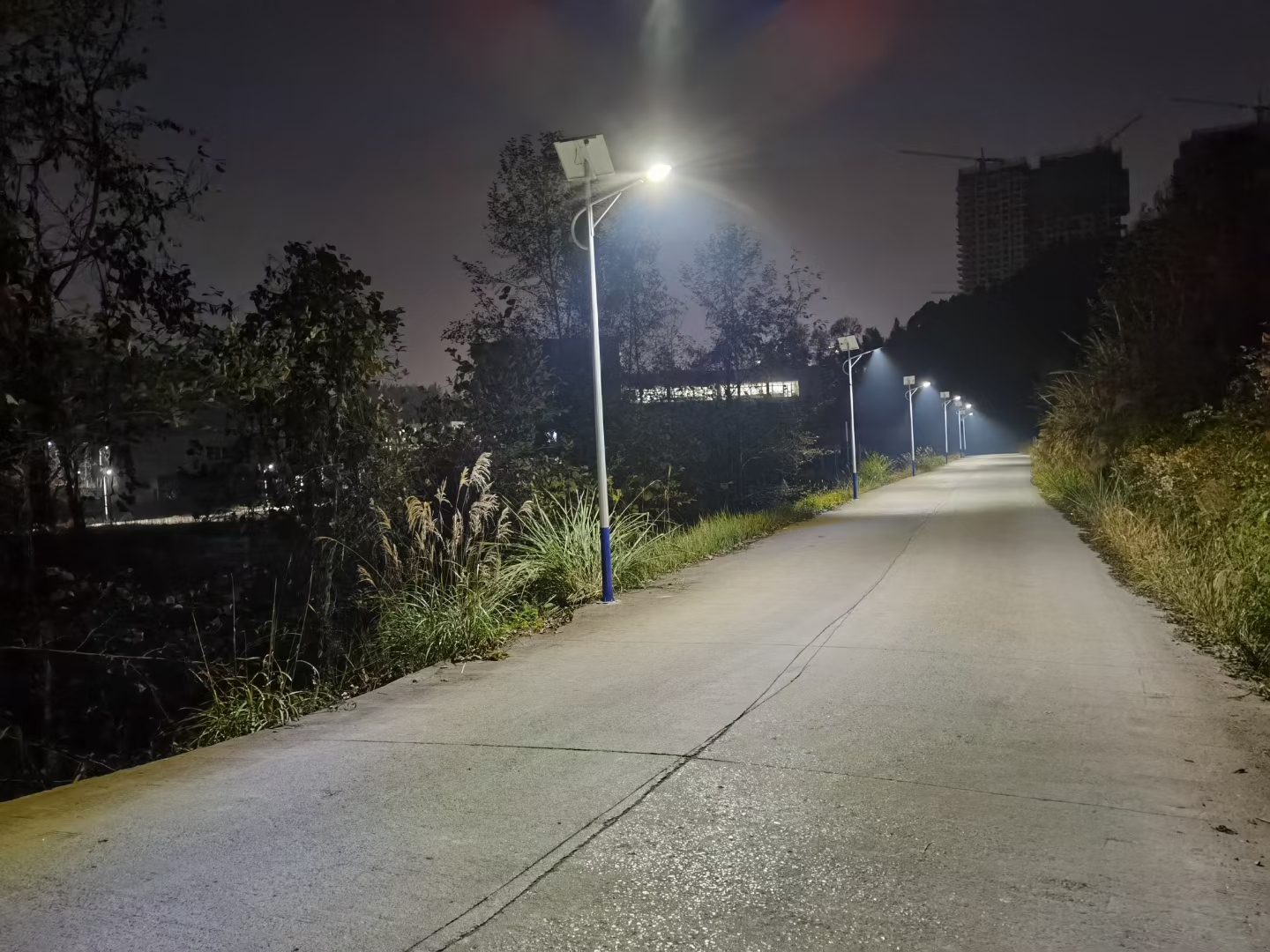 mmexport1610854084392